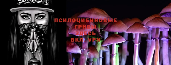 ешки Абинск